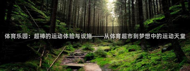 尊龙官方正版app官网:体育乐园:超棒的运动体验与设施——从