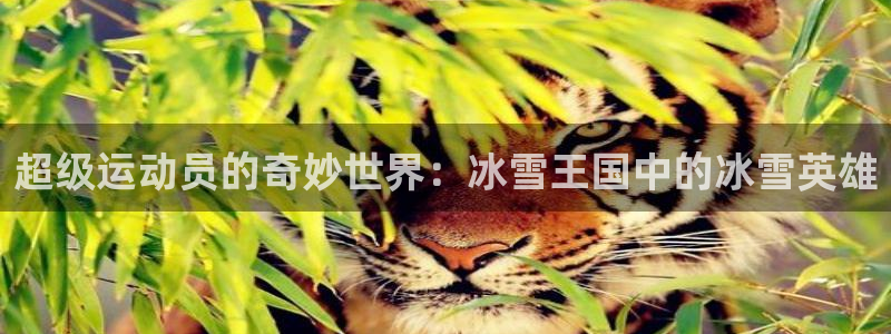 尊龙官网下载招商电话号码是多少:超级运动员的奇妙世界:冰雪王