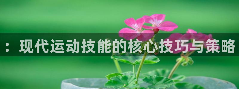 尊龙官网下载招商电话号码是多少::现代运动技能的核心技巧与策