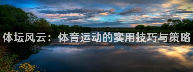 尊龙官方正版app集团简介:体坛风云:体育运动的实用技巧与策